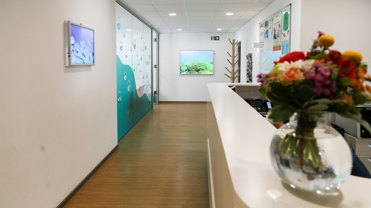 Galerie Empfang